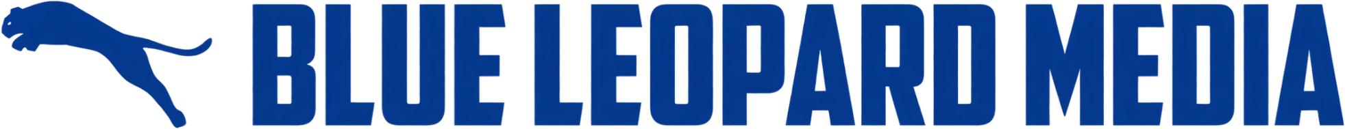 Blue Leopard Media