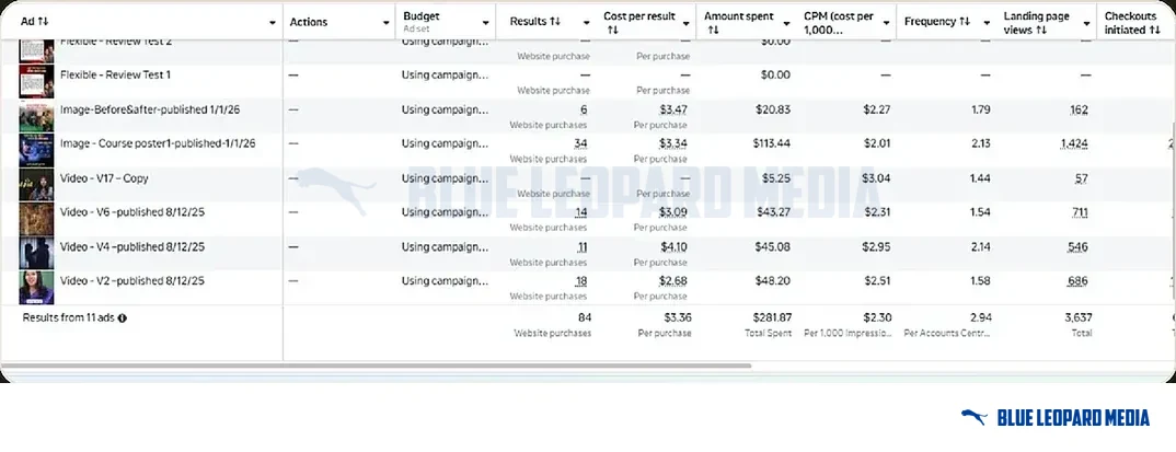 Ad-level table of 11 tested ads with purchases, cost per purchase, spend, CPM, frequency and landing page views.
