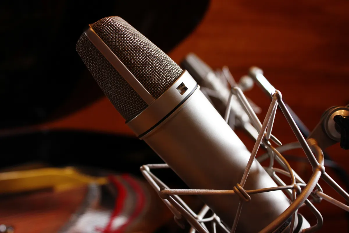 A large-diaphragm condenser microphone in a shock mount in a recording studio
