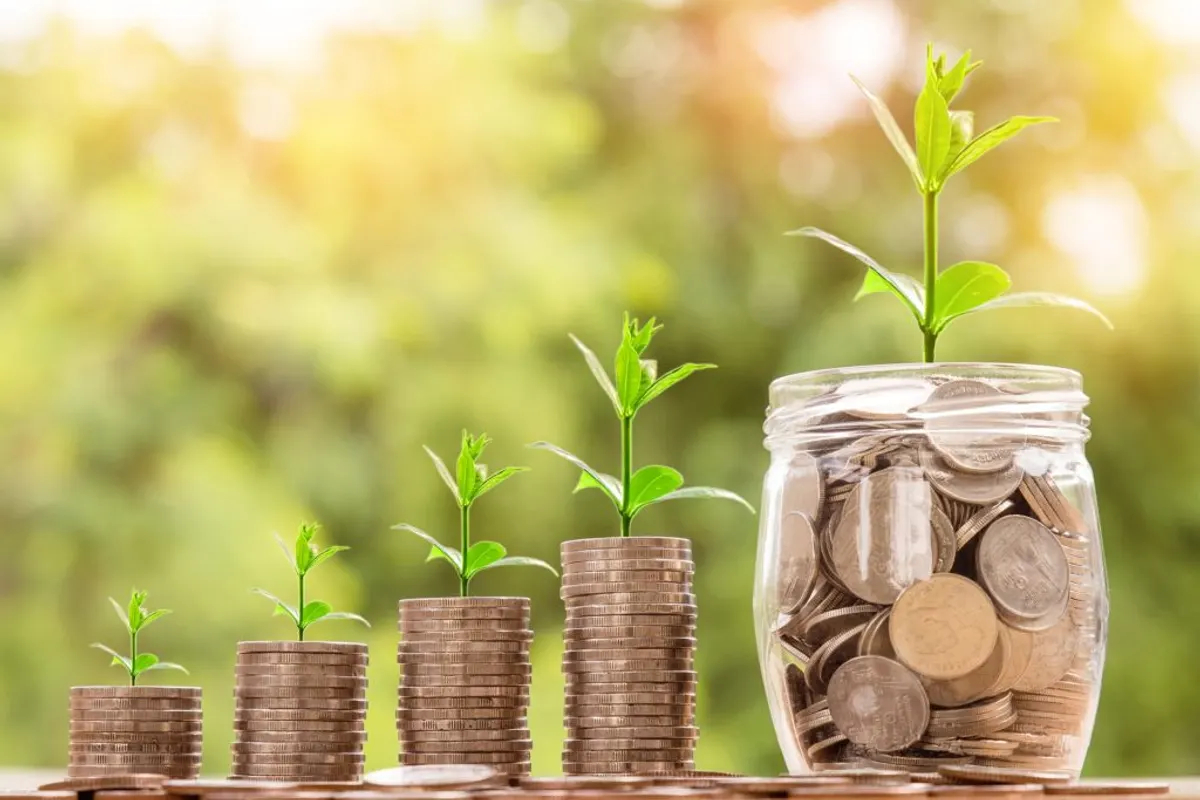 Stacks of coins in rising heights with green seedlings, and a glass jar of coins