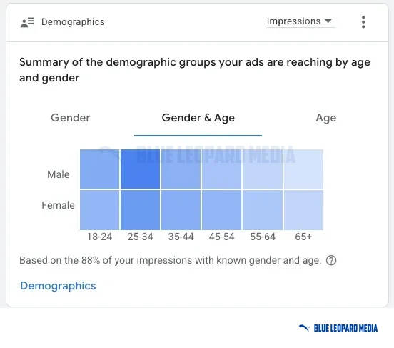 Google Ads demographics report: impressions by age and gender