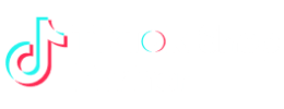TikTok Shop Partner