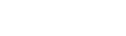WordPress Partner